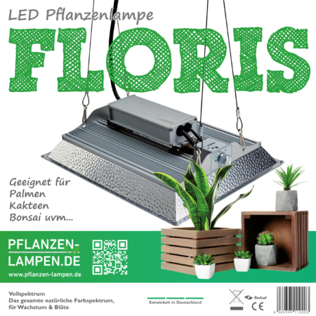 LED Pflanzenlampe - FLORIS Neusius Pflanzenlicht. Geeignet für Palmen, Kakteen, Bonsai und mehr.