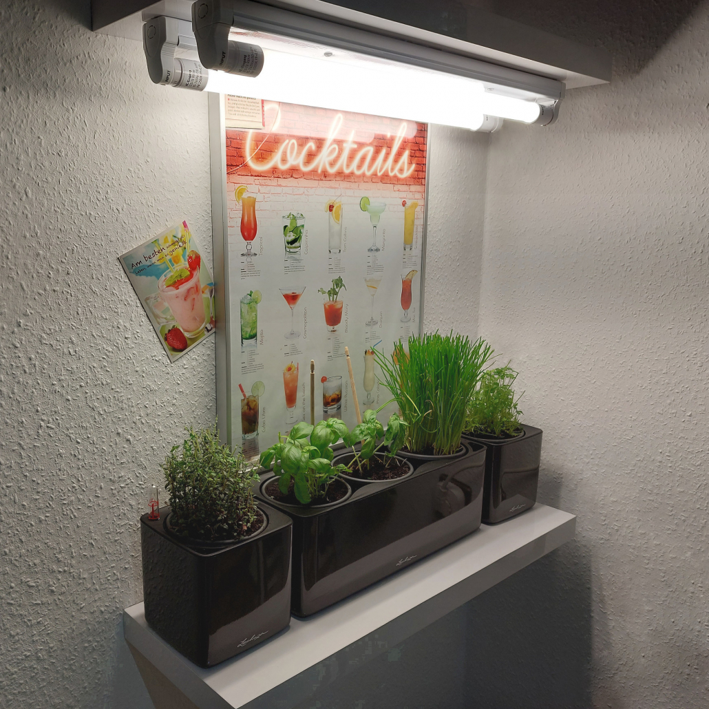 LED Pflanzenlampe 120cm, Leuchtröhre mit Fassung - Pflanzen-lampen