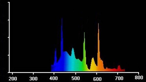 Spektralverteilung Pflanzenlampen