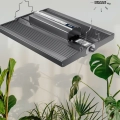 LED-Pflanzenlampe FLORIS Grow | NEUSIUS PFLANZENLICHT hängt über Pflanzen.