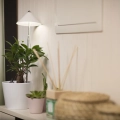 ie SUNLiTE 7W LED Pflanzenlampe beleuchtet frische Küchenkräuter wie Basilikum in einem Topf und sorgt für ganzjähriges Wachstum.