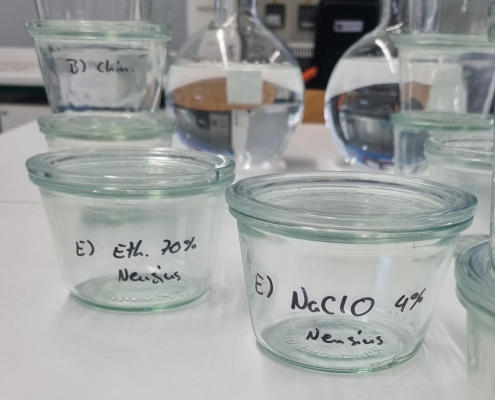 Präzise Vorbereitung im Forschungslabor Vorbereitung von In-vitro-Pflanzenkulturen in beschrifteten Gläsern im Labor. Zeigt Lösungen für pflanzenwissenschaftliche Forschung, die mit unserer Pflanzenbeleuchtung unterstützt wurde.
