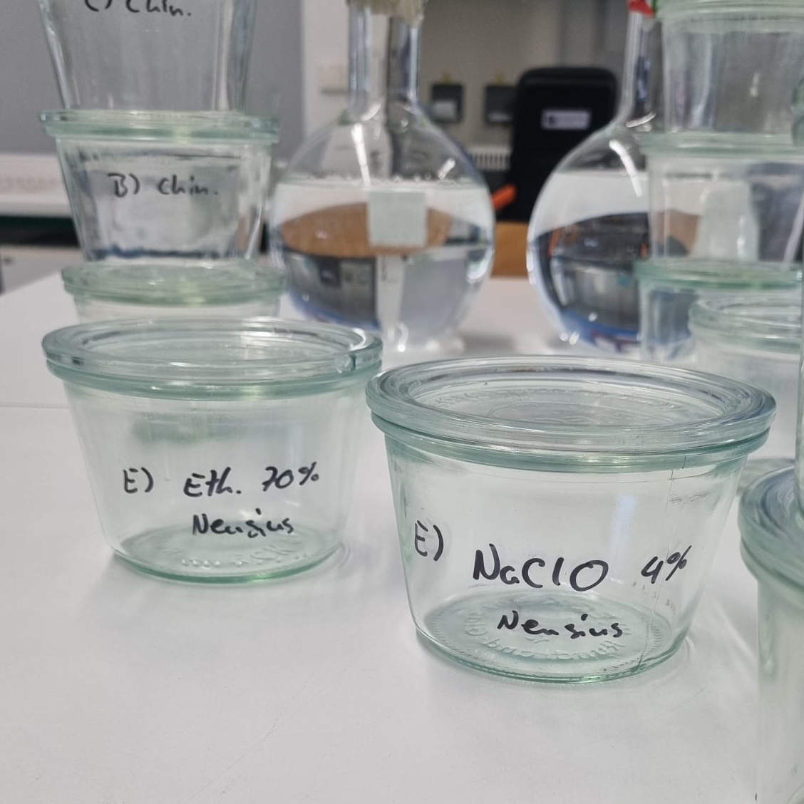 Vorbereitungen für die Anlage von In-vitro-Pflanzenkulturen für die wissenschaftliche Forschung.
