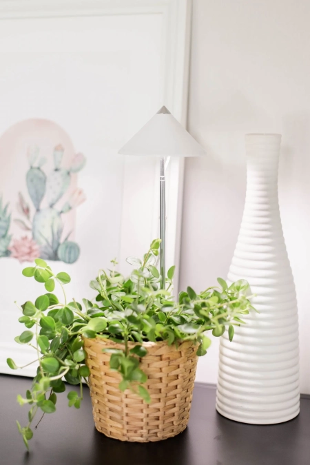 Die SUNLiTE 7W Pflanzenlampe mit teilweise ausgezogenem Teleskopstab, der sich flexibel an die Höhe der Pflanze anpasst. Der Stab ist bis zu 1 Meter ausziehbar.