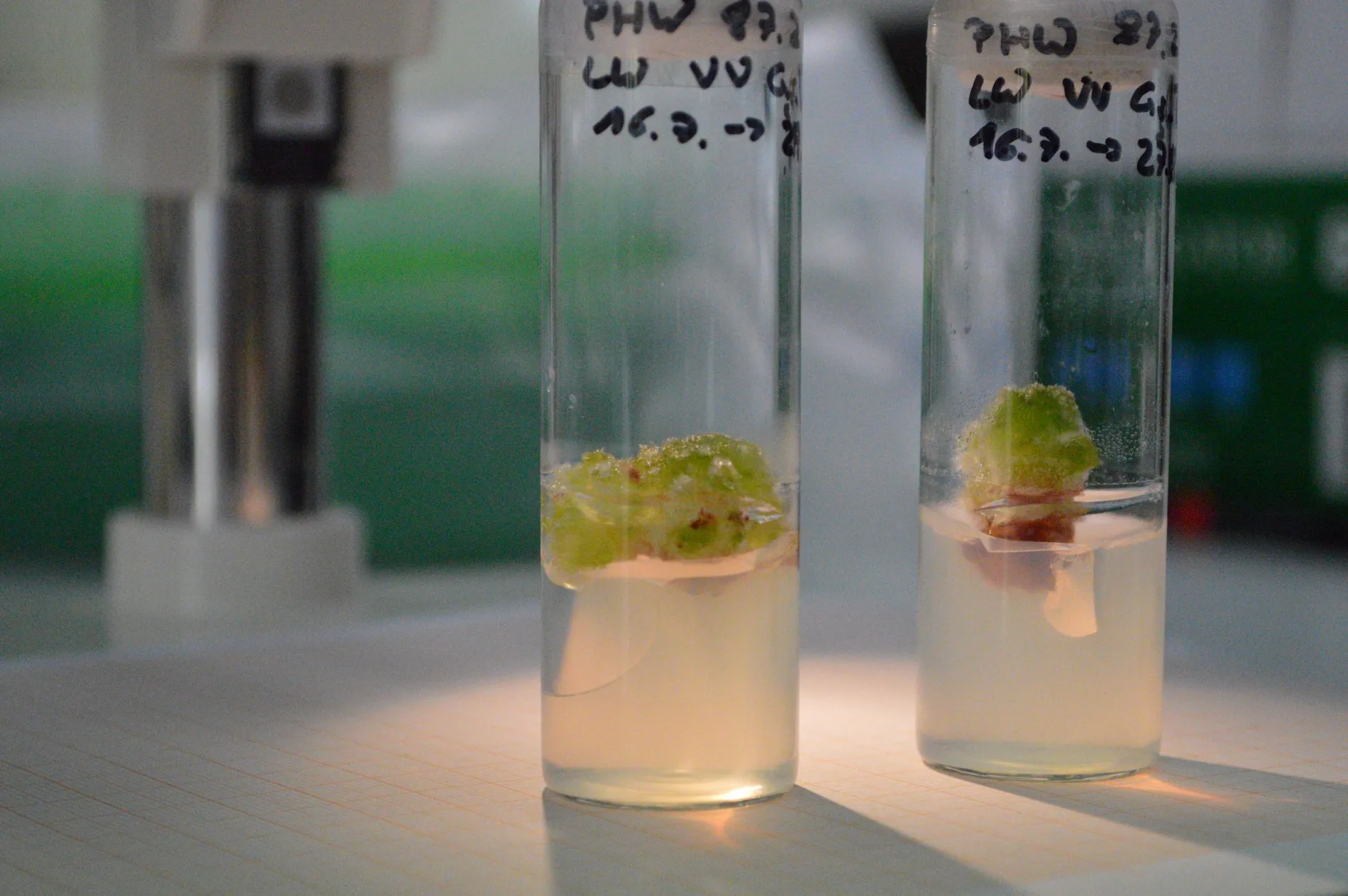 In-vitro-Forschung HTW Dresden