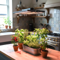 Darstellung einer FLORIS Pflanzenlampe. Sie beleuchtet Kräuter und Chilis in einer Küche mit Holztheke.