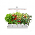 Pflanzenwachstumslampe LED BLOOM 20W 3500K Kobi Design für Küche und Kräuter