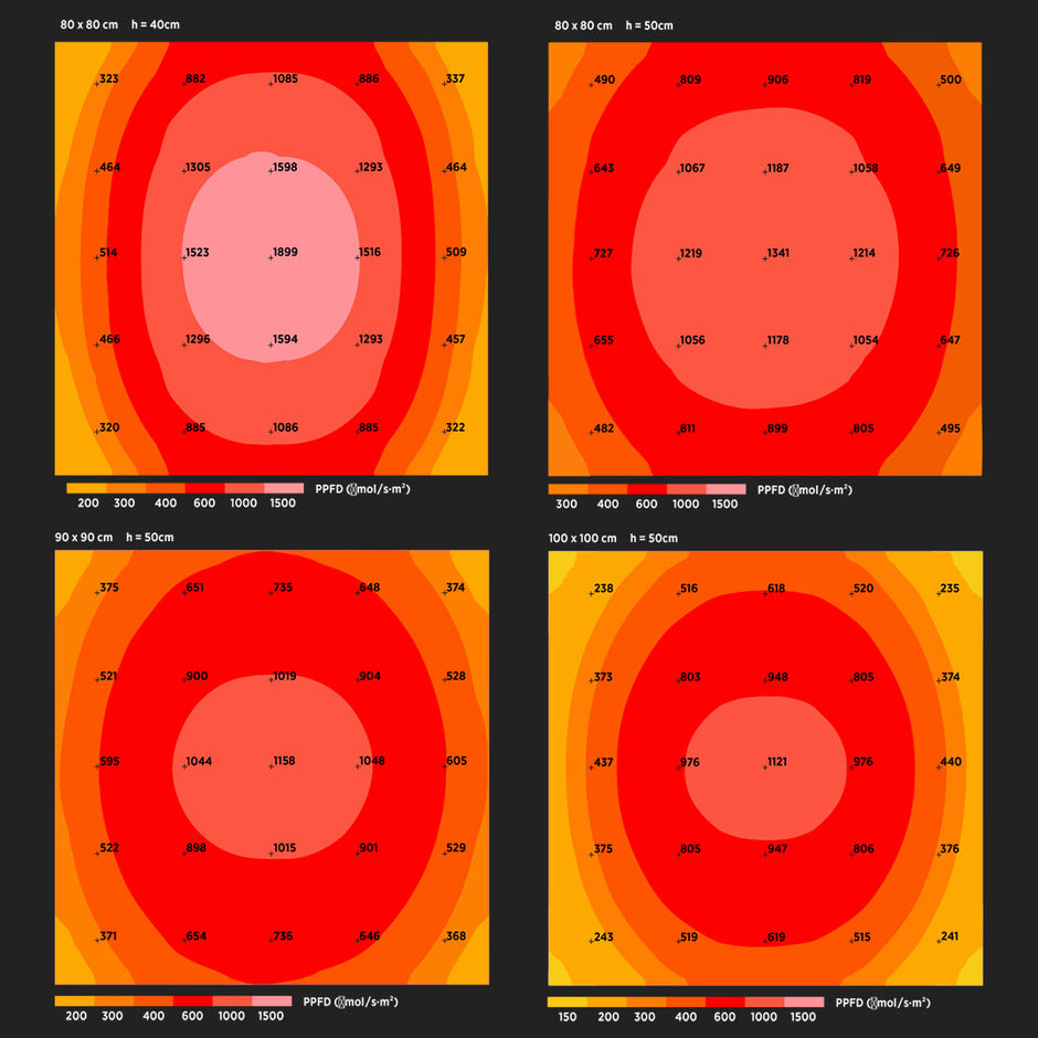 PPFD-Messung der VEGA Pro LED Pflanzenlampe. Zeigt die Lichtintensität und Ausleuchtung (PPFD-Werte in μmol/s·m²) auf Flächen von 80x80cm, 90x90cm und 100x100cm bei 40cm und 50cm Abstand.