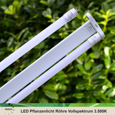 Neusius LED Pflanzenlicht 120cm T8 Vollspektrum – Anwendungsbeispiel in Doppelfassung (doppelflammig)