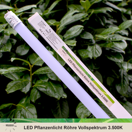 Neusius T8 LED Pflanzenlicht Röhre mit Verpackung – 3500K Vollspektrum für Wohnräume