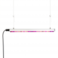 Schlanke LED-Pflanzenlampe mit violettem Lichtspektrum an einer Drahtseilaufhängung für die Gärtnerei.