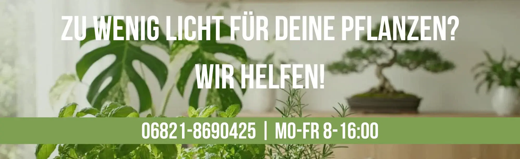 Slider-Pflanzenlampen-1500x430- LED-Pflanzenlampe für Zimmerpflanzen und Kräuter gegen Lichtmangel im Herbst und Winter – Neusius Pflanzenlicht Beratung 06821-8690425