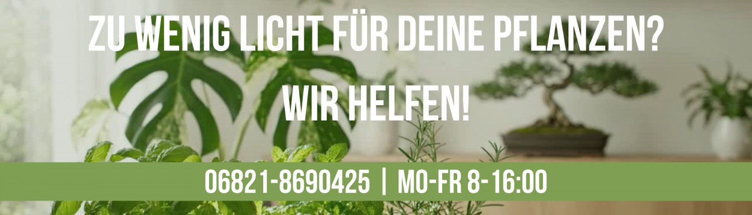 Pflanzenleuchten von Neusius Pflanzenlicht: Wir helfen bei Lichtmangel für Pflanzen. Kontakt unter 06821-8690425, erreichbar Mo-Fr von 8 bis 16 Uhr.